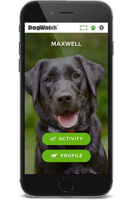 DogWatch of Southern Minnesota, Zumbrota, Minnesota | SmartFence WebApp Image