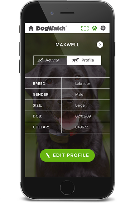 DogWatch of Southern Minnesota, Zumbrota, Minnesota | SmartFence WebApp Image